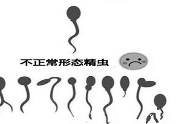 不孕不育在中卫市做试管的费用有多少？一文告诉你做三代试管建档的流程有哪些