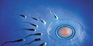 不孕不育在长治市做试管的费用有多少？一文告诉你做三代试管建档的流程有哪些